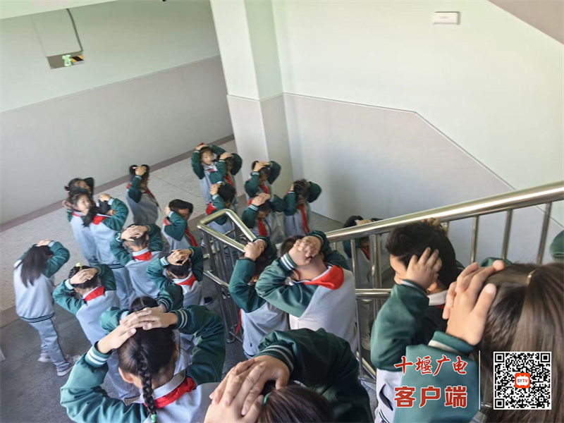 微信图片_20241024180002_副本