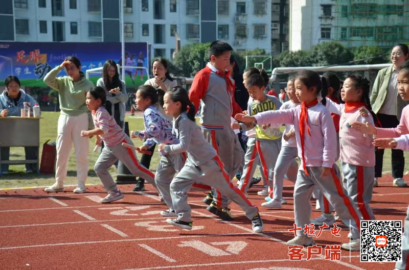 微信图片_20241026204912_副本