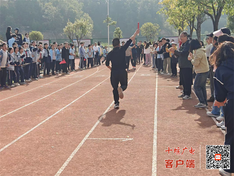 微信图片_20241026205952_副本