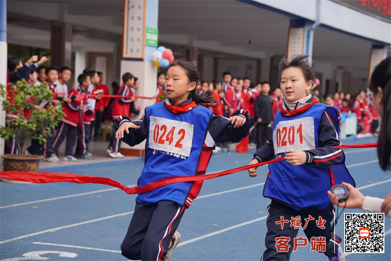 微信图片_20241026123056