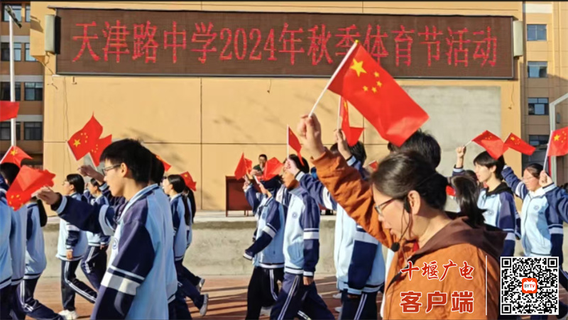 微信图片_20241027152358_副本