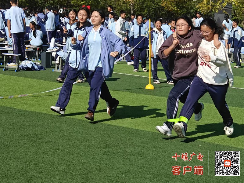 微信图片_20241027152402_副本