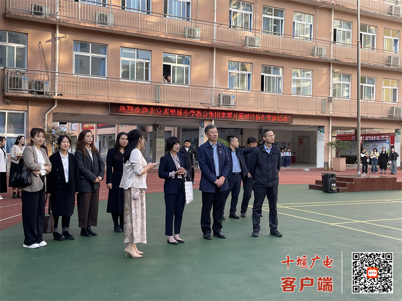 微信图片_20241029162805_副本