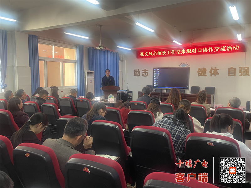 微信图片_20241029162819_副本