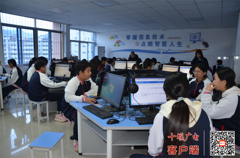 微信图片_20241029190509_副本