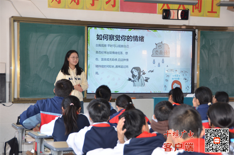 微信图片_20241029190517_副本