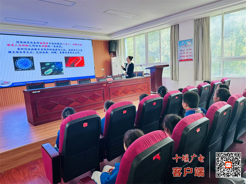 微信图片_20241030101022_副本