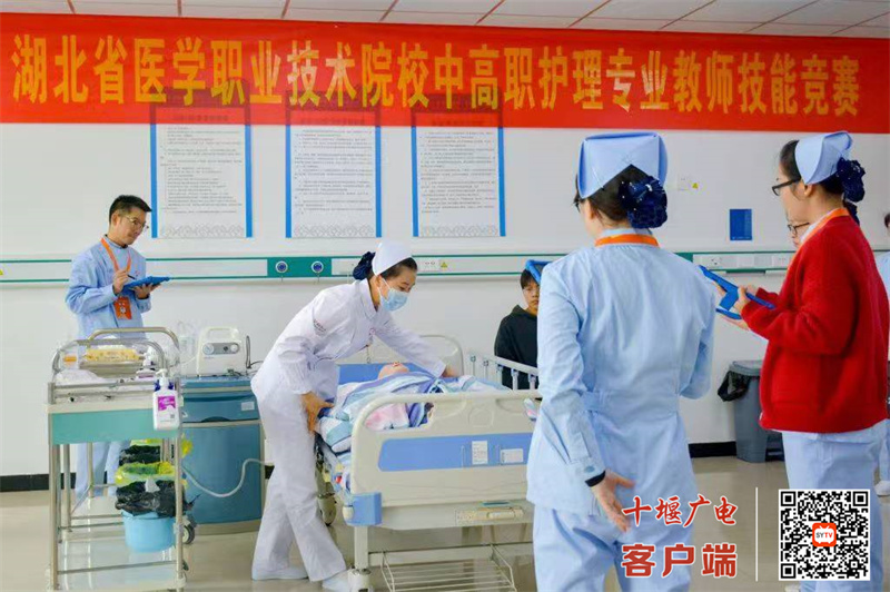 微信图片_20241030160629_副本