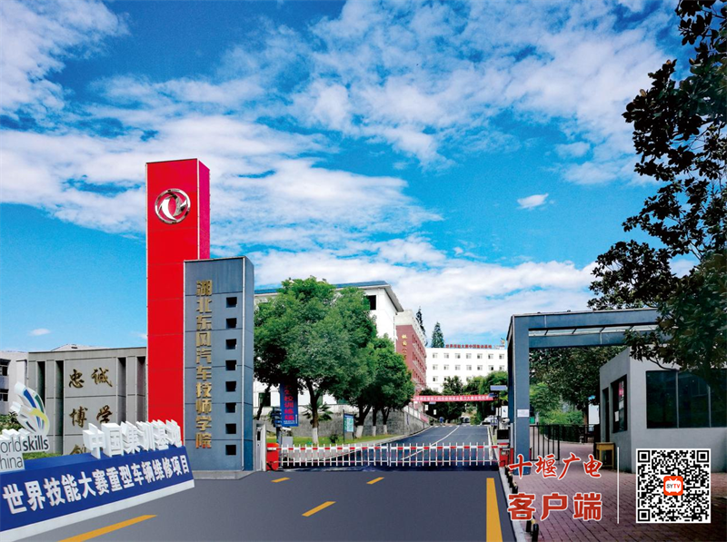 图片9_副本