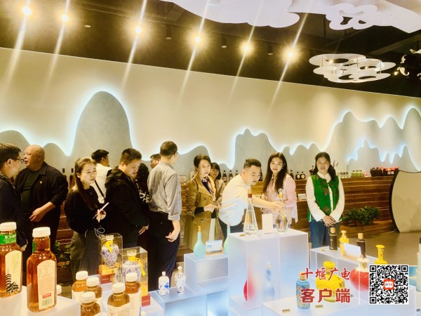 微信图片_20241031090139_副本