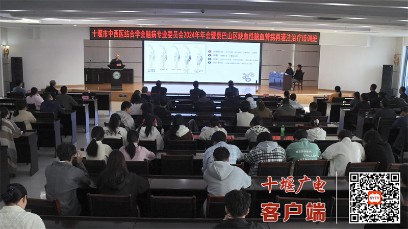QQ图片20241103102446