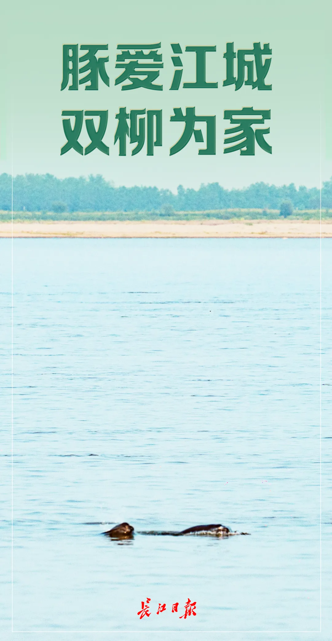 640_wx_fmt=png&from=appmsg&tp=webp&wxfrom=5&wx_lazy=1&wx_co=1 (3)