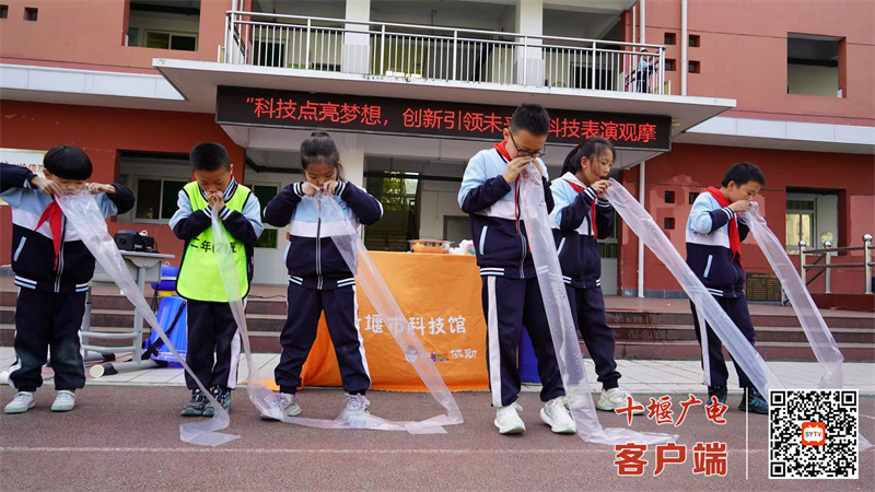 微信图片_20241104160451_副本