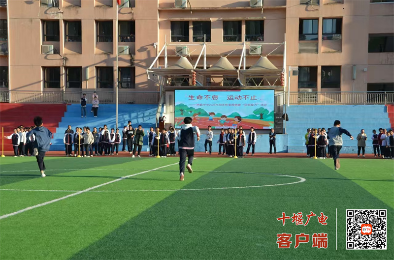 微信图片_20241104160948_副本