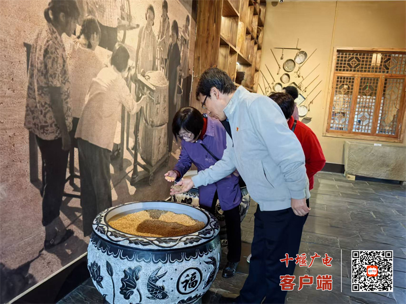 微信图片_20241107162907_副本