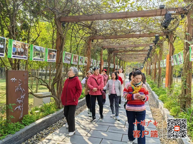 微信图片_20241107162910_副本