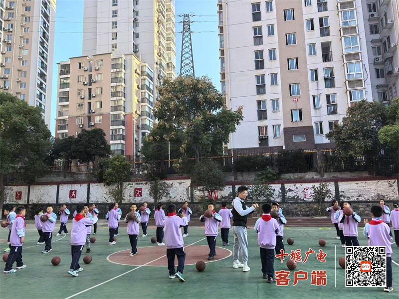 微信图片_20241107165113_副本