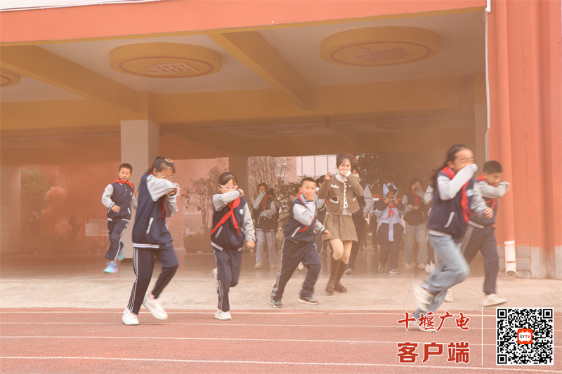 微信图片_20241107175452_副本