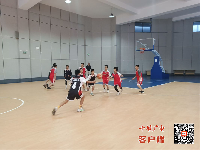 微信图片_20241107185925_副本