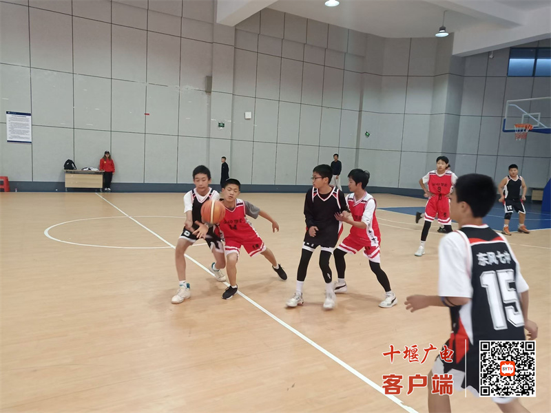 微信图片_20241107185929_副本