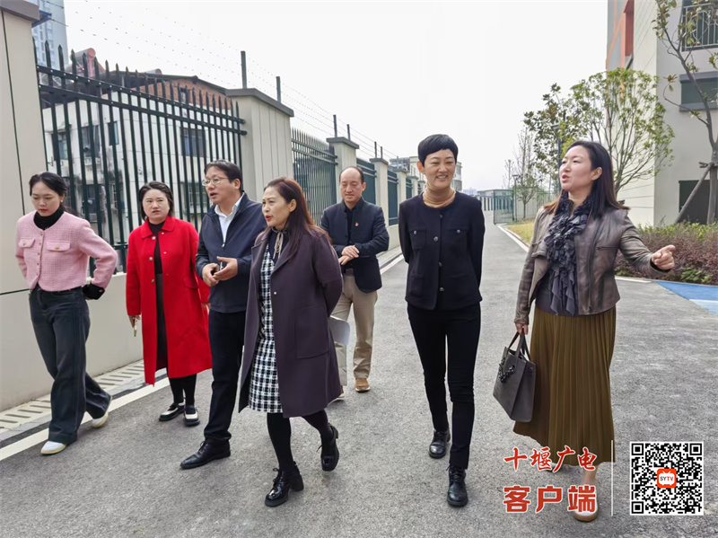 微信图片_20241108173005_副本