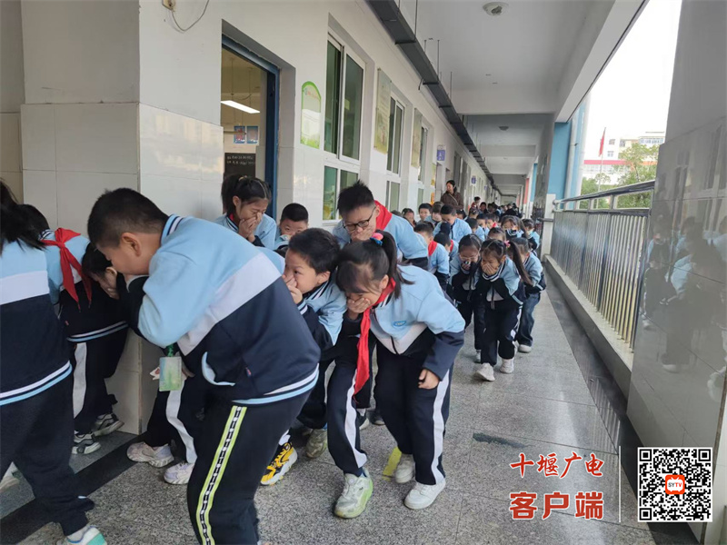 微信图片_20241108174638_副本