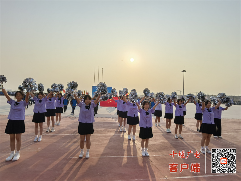 微信图片_20241108175943_副本