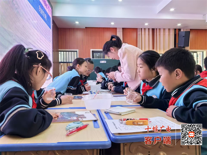 微信图片_20241108191322_副本