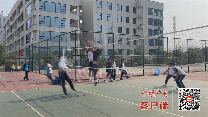 imgcb7a61c69b714865803cf76d29ffddca