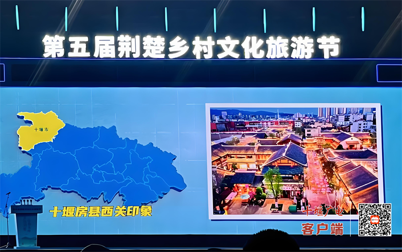 图片4