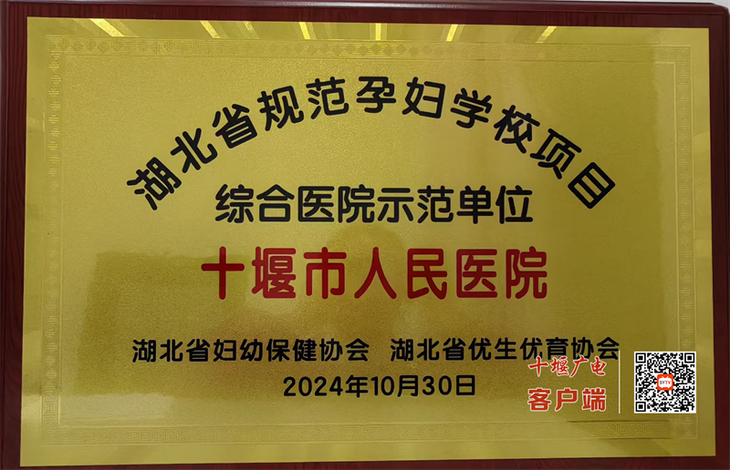 图片1(15)_副本