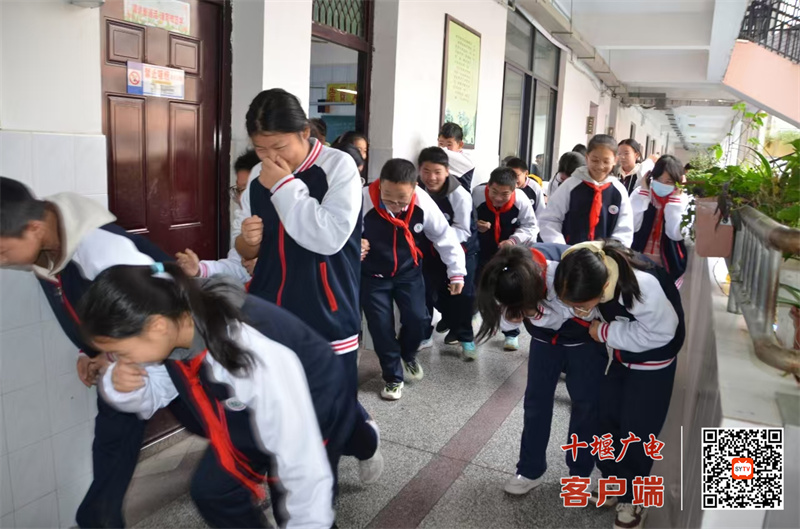 微信图片_20241112185139_副本