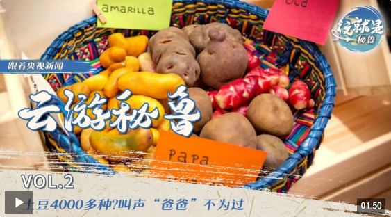 QQ_1731503513726