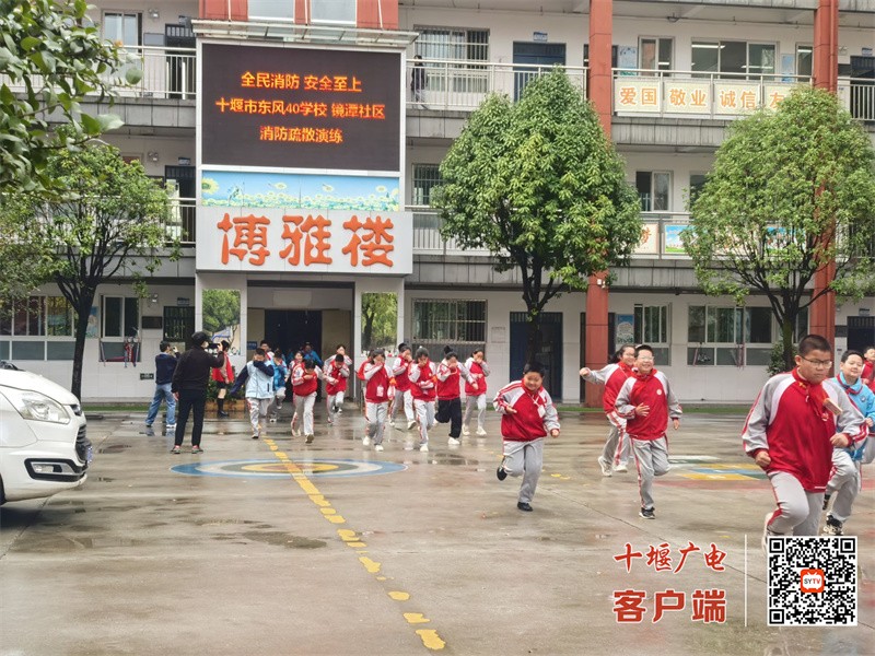QQ图片20241115152958