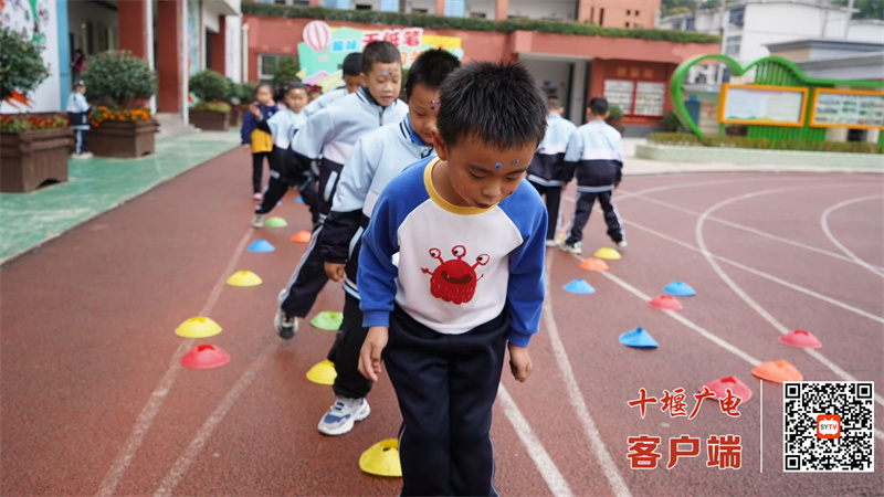 微信图片_20241116104703_副本