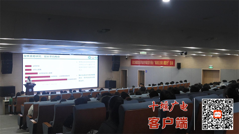 QQ截图20241116094941