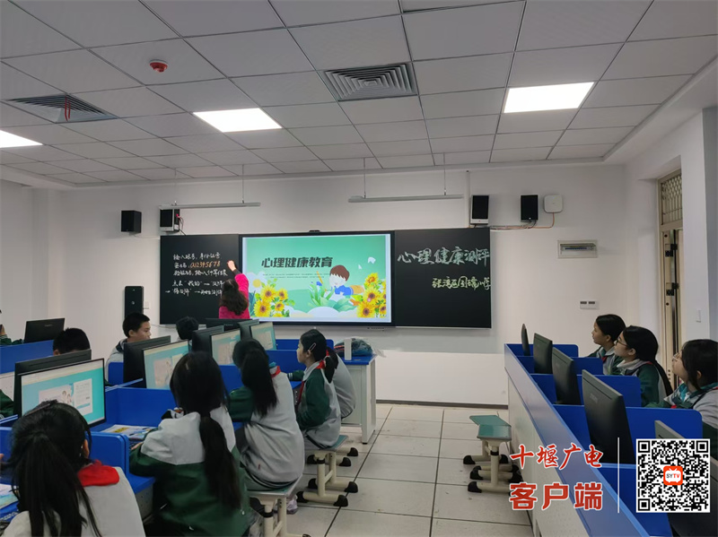 微信图片_20241117215114_副本