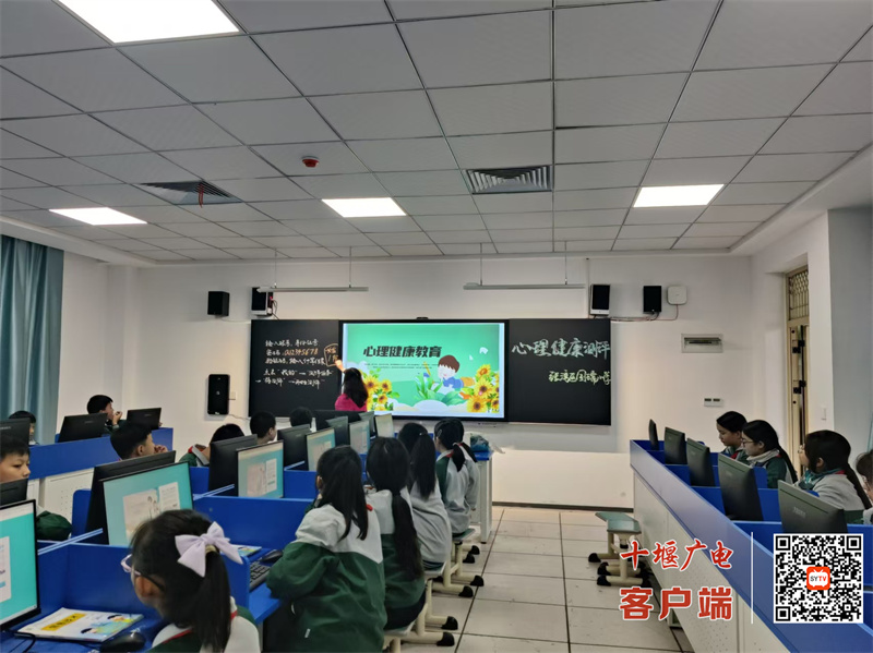微信图片_20241117215118_副本