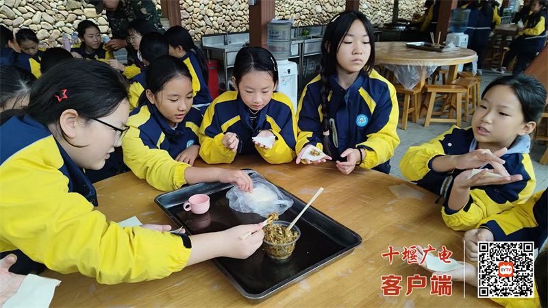 微信图片_20241118182824_副本
