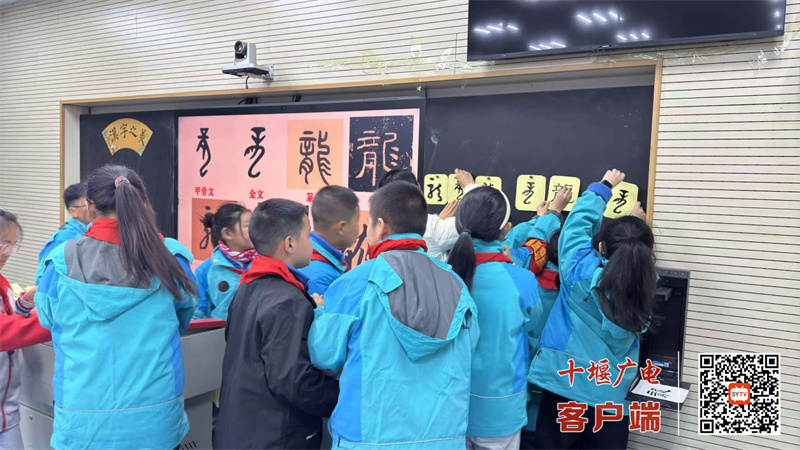 微信图片_20241120213703_副本