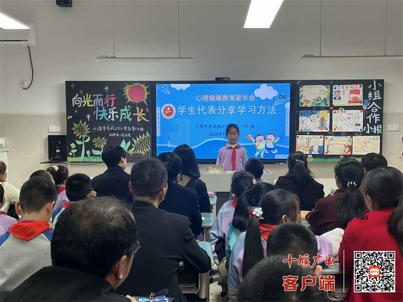 微信图片_20241122210052_副本