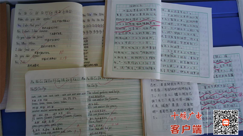 微信图片_20241122210902_副本