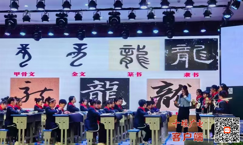 微信图片_20241124172255_副本