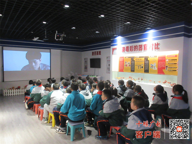 微信图片_20241124172949_副本
