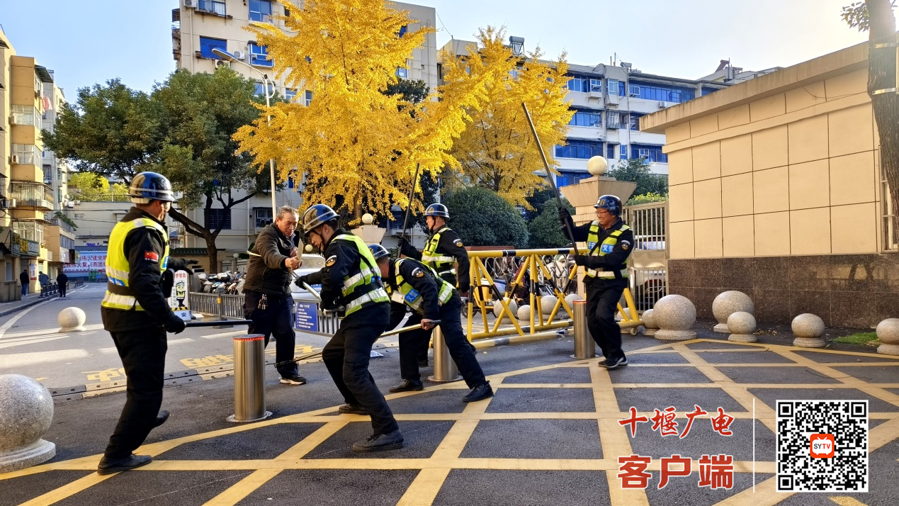图片1