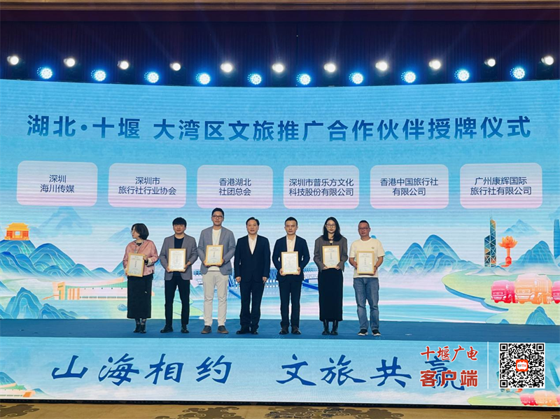 图片4