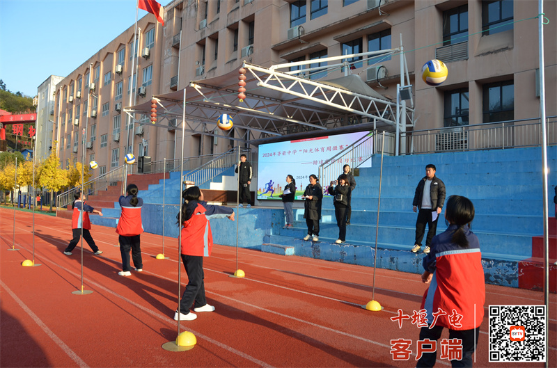 微信图片_20241201190831_副本