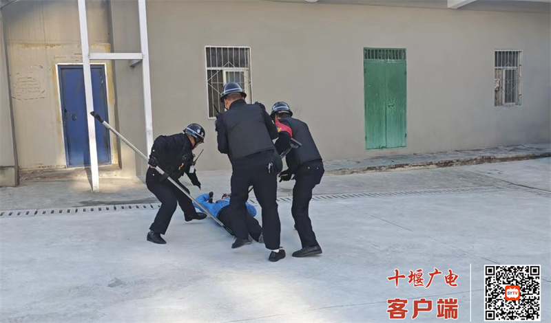 微信图片_20241201191722_副本