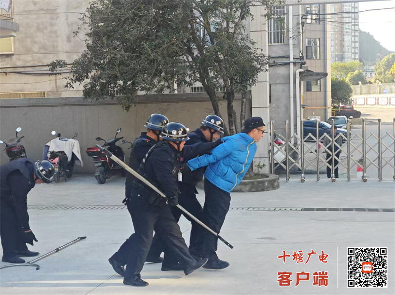 微信图片_20241201191725_副本