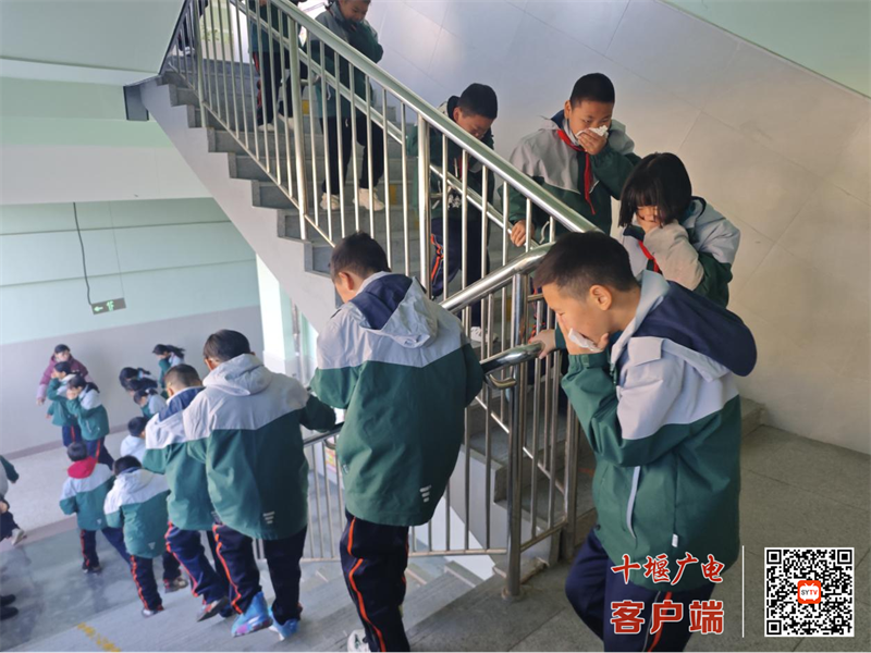 微信图片_20241201192036_副本